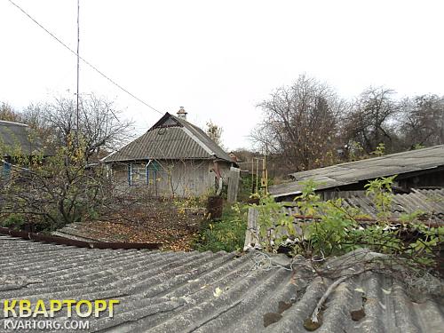 Sell house. Киевская обл., Халепье — photo 1