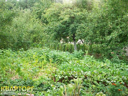 Sell house. Винница, с. Березино — photo 8