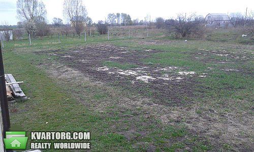 Sell house. Киевская обл., Гоголя — photo 9
