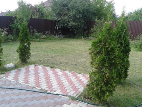 Rent out house. Киевская обл., Цветочная — photo 6