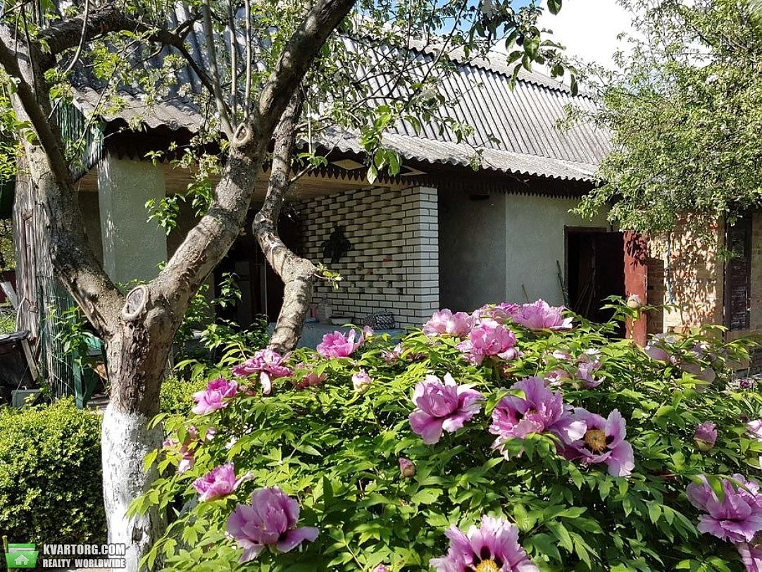 Sell house. Киевская обл., Гребені — photo 3