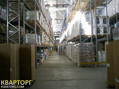 Rent out warehouse. Киевская обл., Киевская — photo 1