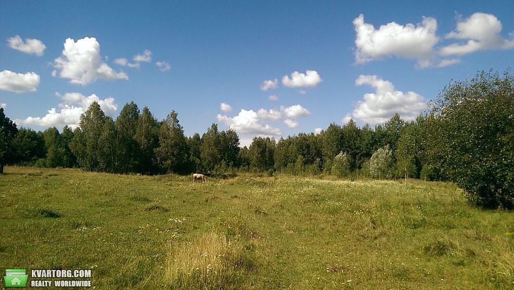 Sell house. Вышгород, Братьев Тимошекно — photo 4