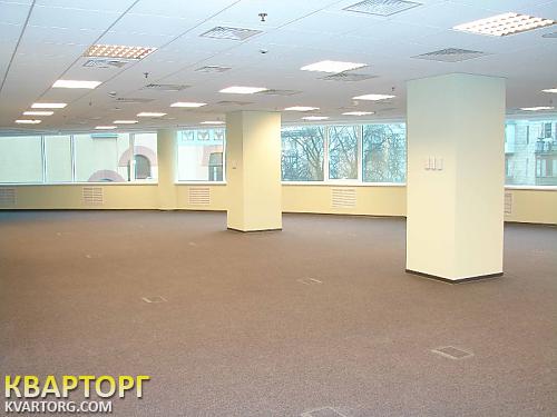 Rent out office. Киев, Владимировская — photo 5
