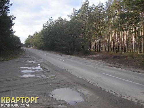 Sell house. Киевская обл., Плесецкое — photo 7