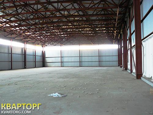Rent out warehouse. Киевская обл., Пуховка — photo 1