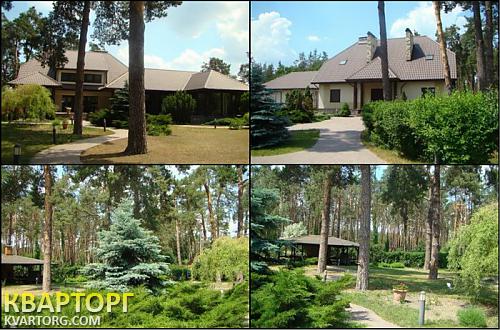 Sell house. Киевская обл., Плюты — photo 2