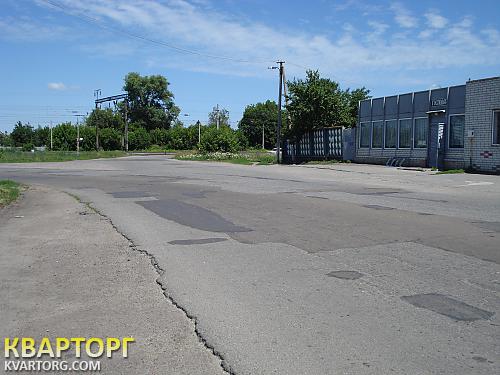 Sell house. Чернигов, Бобровица — photo 6