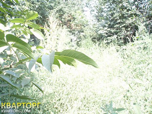 Sell house. Киев, Осокорки. — photo 5