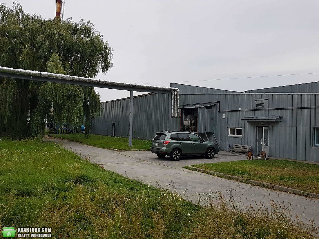 Rent out warehouse. Киевская обл., Шевченка — photo 8