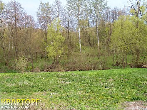 Sell house. Киевская обл., с.Демивщина — photo 9
