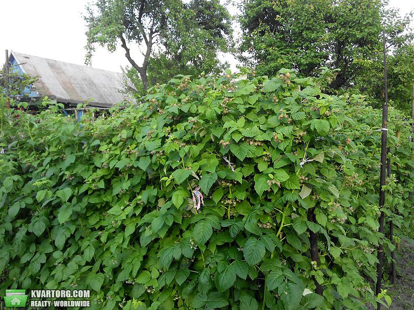 Sell house. Запорожье, Рязанская — photo 5