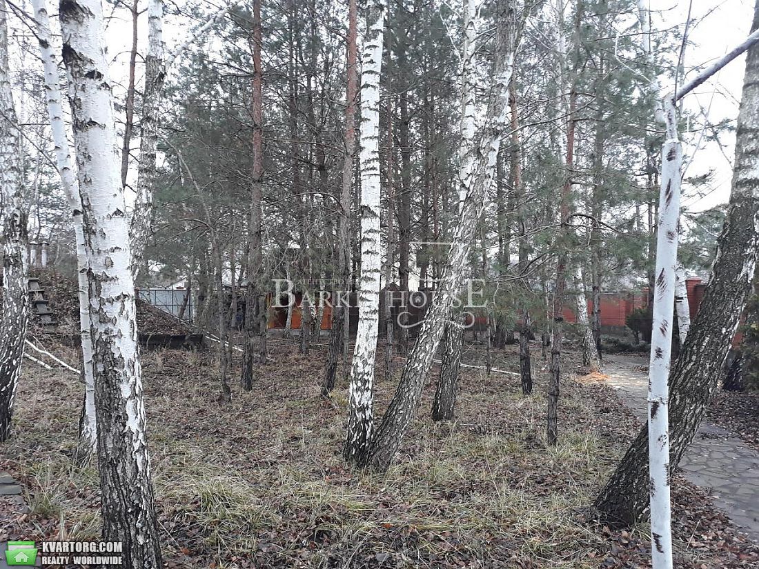 Rent out house. Киевская обл., Новые Безрадичи — photo 10