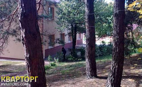 Rent out house. Киев, Пуща-Водица — photo 7