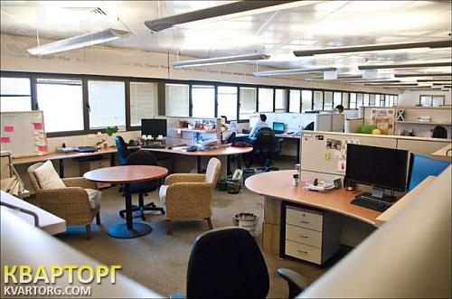 Rent out office. Киев,  Гайдара — photo 3