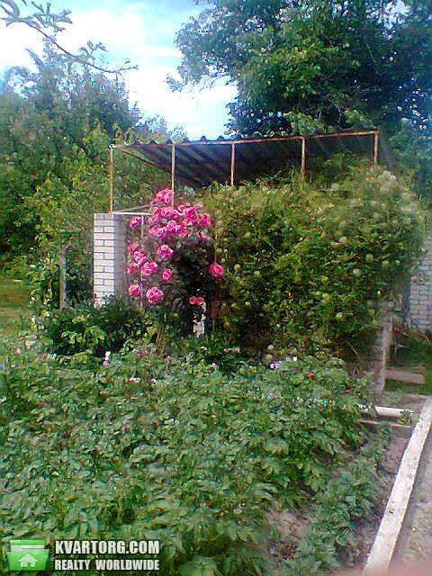 Sell house. Киевская обл., Козинці — photo 2