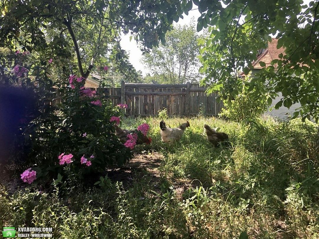 Sell house. Киевская обл., Пилиповичі — photo 3