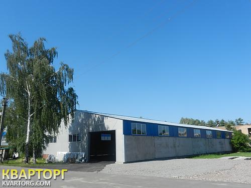 Rent out warehouse. Киев, поселок Дмитровка — photo 1