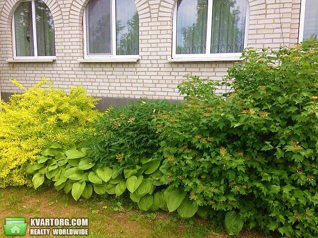 Sell house. Киевская обл., ярослава мудрого 44 — photo 3
