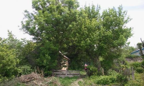 Sell house. Черкассы, Шевченко — photo 8