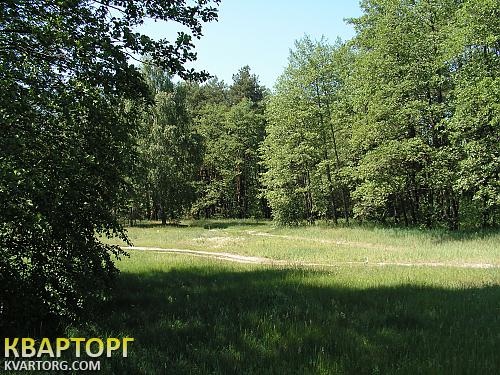 Sell house. Киевская обл., Журавлиная — photo 7