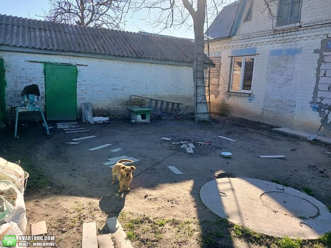 Sell house. Бровары, Велика Димерка — photo 2