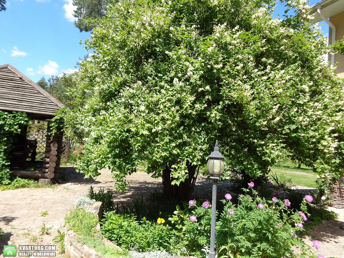 Sell house. Киевская обл., Ворзель — photo 7