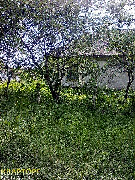Sell house. Черкассы, Коломыйци — photo 2