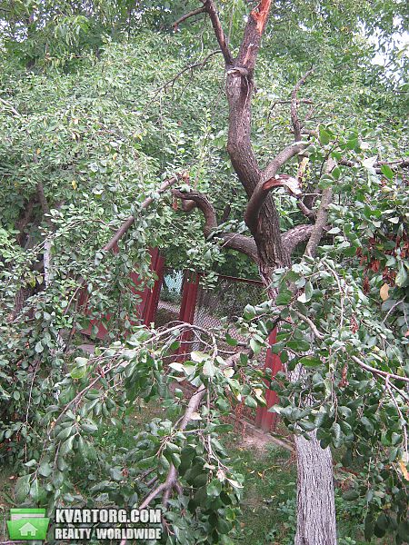 Sell house. Киевская обл., Радянская — photo 10