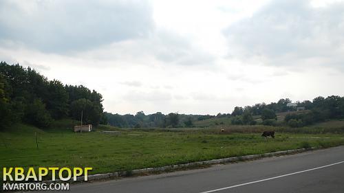 Sell house. Киевская обл., с. Кившовата — photo 1