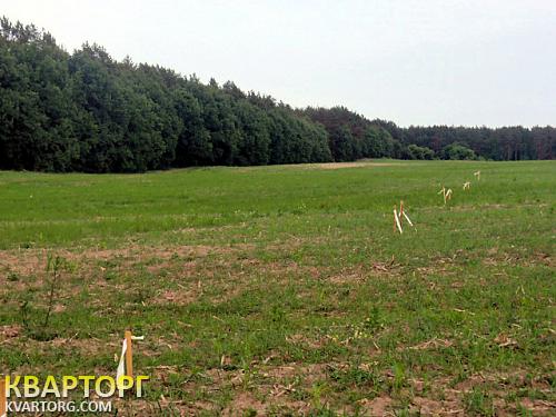 продам участок. Киевская обл.,  Бышев - фото 3