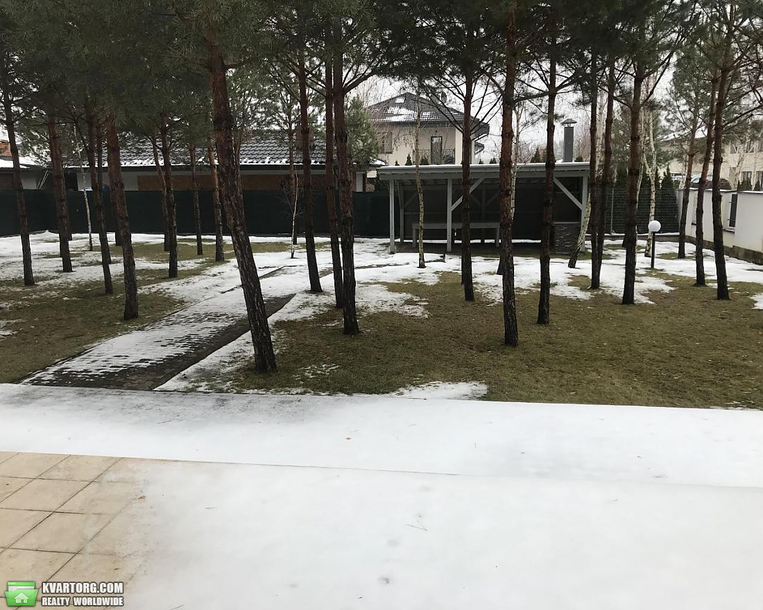 Rent out house. Киевская обл., Дмитровка — photo 10