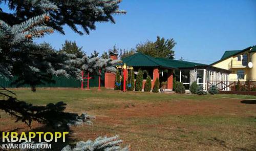 Rent out house. Киевская обл., Николаевка — photo 2