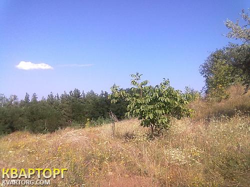 Sell house. Киевская обл., Полевая — photo 1