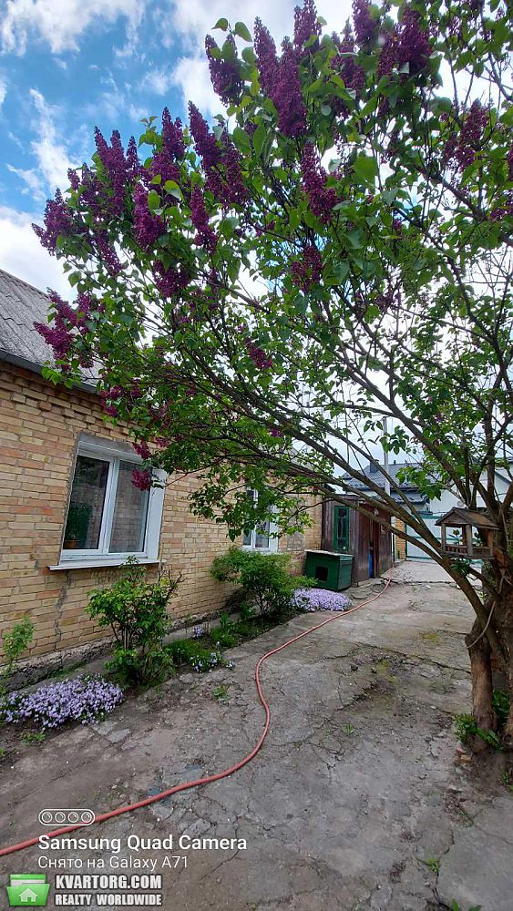 Sell house. Киевская обл., Суворова — photo 10