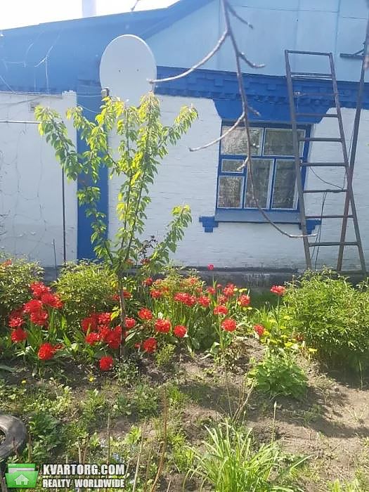 Sell house. Киевская обл., Козятинськая — photo 6