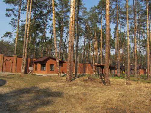 Sell house. Киевская обл., Лесная Буча — photo 6