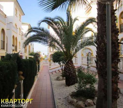 Rent out 2-room apartment. Киев, Испания — photo 2