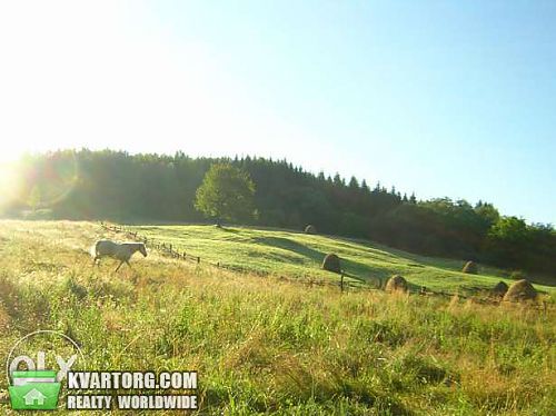 Sell house. Черновцы, С. Волчинец — photo 4