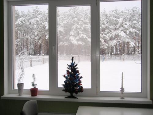 Sell house. Киевская обл., Вишневая — photo 6