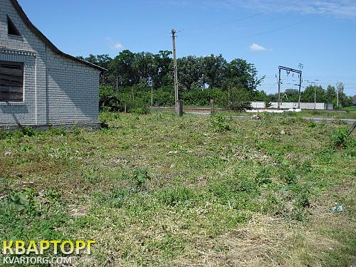 Sell house. Чернигов, Бобровица — photo 5