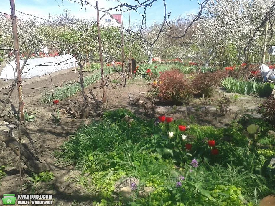 Sell house. Одесса, Чайка — photo 4