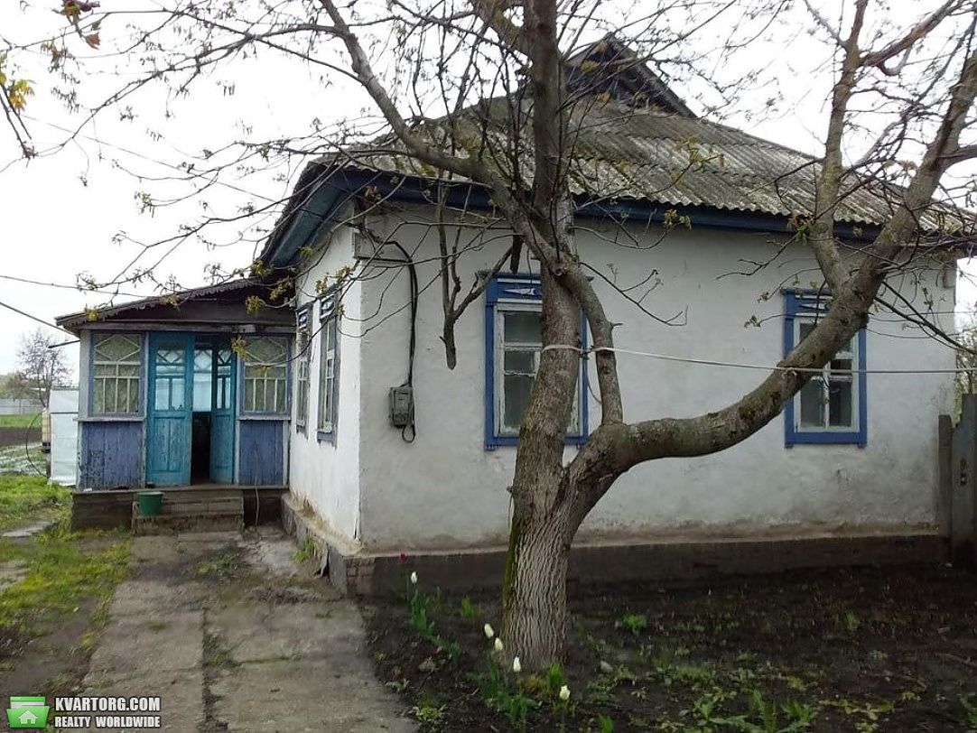 Sell house. Киевская обл., Іванків — photo 1