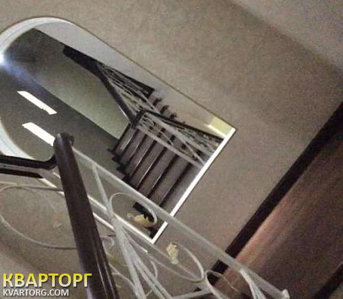 Sell house. Киевская обл., Новое — photo 10