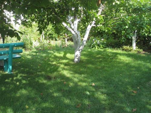 Sell house. Киевская обл., с/т Лаванда — photo 3