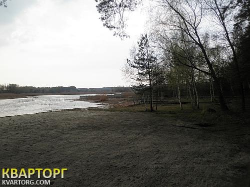 Rent out house. Черкассы, Чапаевка — photo 3