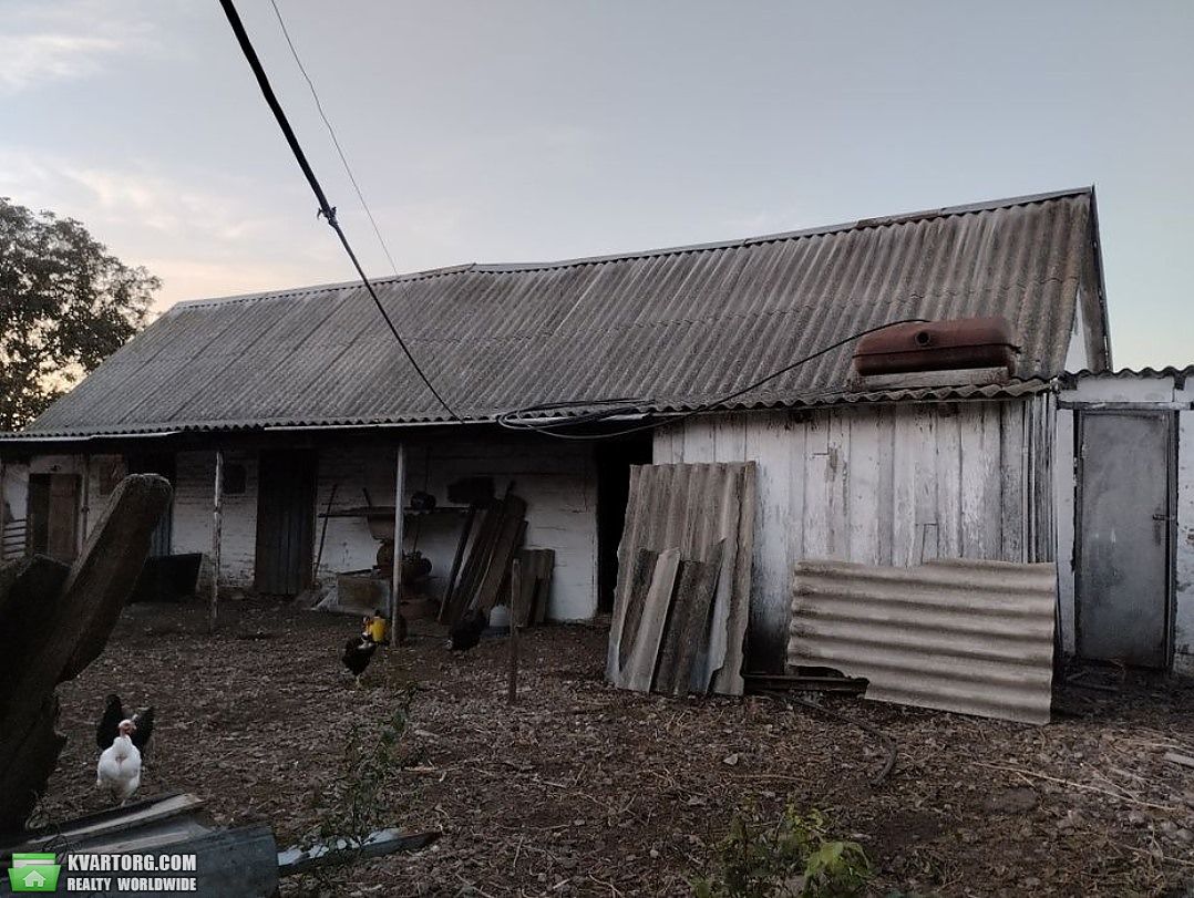 Sell house. Киевская обл., Недра — photo 8