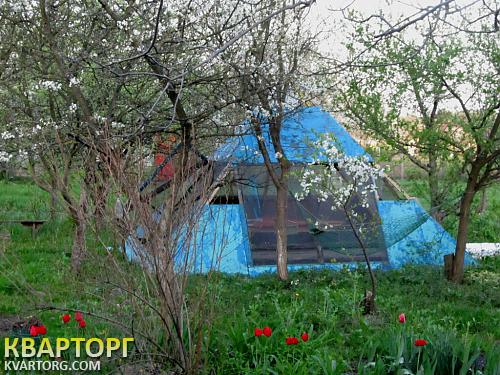 Sell house. Киевская обл., Летки — photo 4