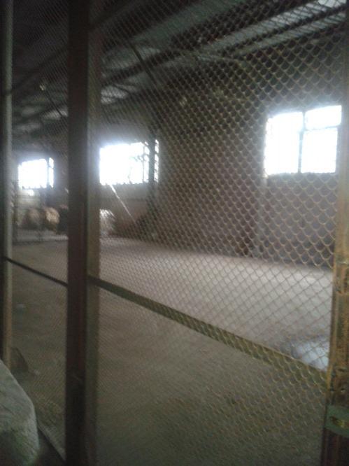 Rent out warehouse. Киев, Корабельная — photo 4