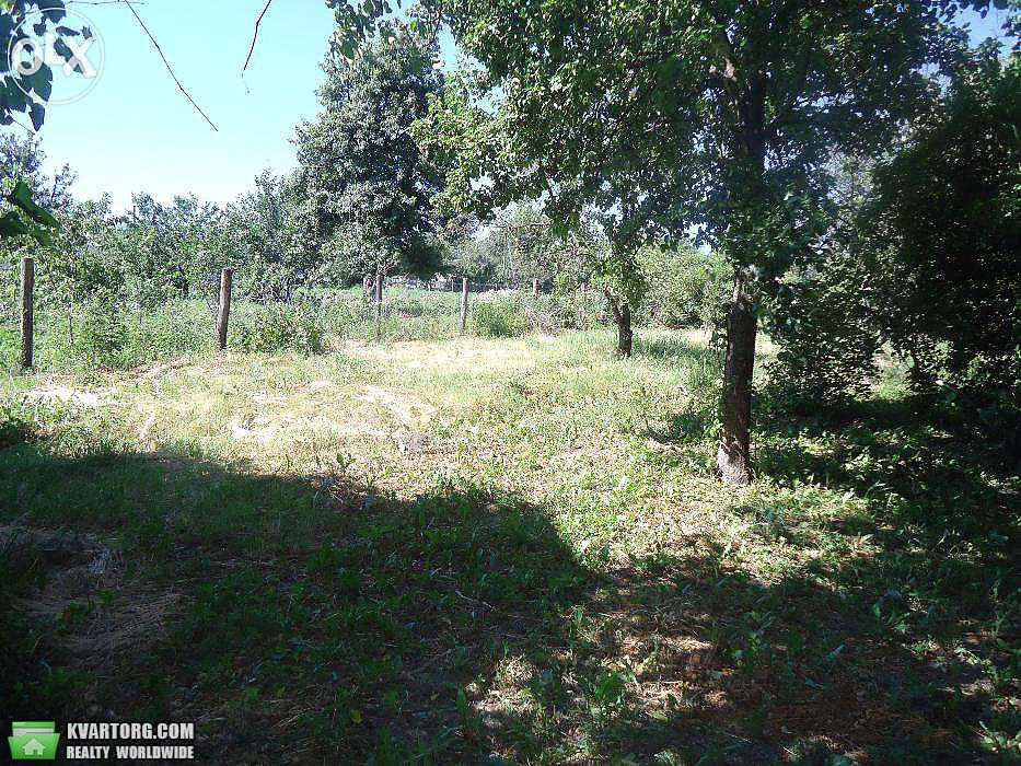 Sell house. Киевская обл., Школьная — photo 4